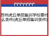 苏州虎丘单招集训学校要什么条件(虎丘单招集训条件)