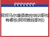 阿坝马尔康县数控培训职校有哪些(阿坝数控职校)