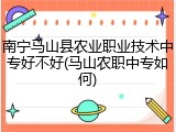 南宁马山县农业职业技术中专好不好(马山农职中专如何)