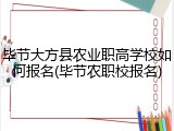 毕节大方县农业职高学校如何报名(毕节农职校报名)
