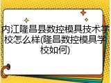 内江隆昌县数控模具技术学校怎么样(隆昌数控模具学校如何)