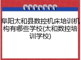 阜阳太和县数控机床培训机构有哪些学校(太和数控培训学校)