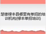 楚雄禄丰县哪里有单招的培训机构(禄丰单招培训)