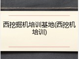 西挖掘机培训基地(西挖机培训)