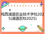 鸡西滴道农业技术学校2025(滴道农校2025)