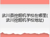 武川县挖掘机学校在哪里(武川挖掘机学校地址)