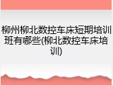 柳州柳北数控车床短期培训班有哪些(柳北数控车床培训)