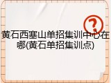 黄石西塞山单招集训中心在哪(黄石单招集训点)