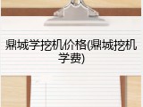 鼎城学挖机价格(鼎城挖机学费)