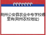 荆州公安县农业中专学校哪里有(荆州农校地址)
