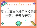 枣庄山亭文化补习学校是哪一家(山亭补习学校)