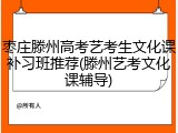枣庄滕州高考艺考生文化课补习班推荐(滕州艺考文化课辅导)