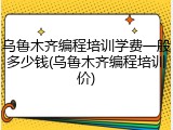 乌鲁木齐编程培训学费一般多少钱(乌鲁木齐编程培训价)