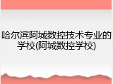 哈尔滨阿城数控技术专业的学校(阿城数控学校)