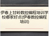 伊春上甘岭数控编程培训学校哪家好点(伊春数控编程培训)