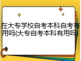 在大专学校自考本科自考有用吗(大专自考本科有用吗)