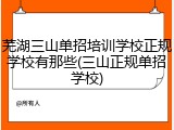 芜湖三山单招培训学校正规学校有那些(三山正规单招学校)