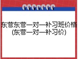 东营东营一对一补习班价格(东营一对一补习价)