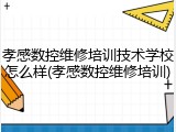 孝感数控维修培训技术学校怎么样(孝感数控维修培训)