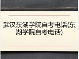 武汉东湖学院自考电话(东湖学院自考电话)