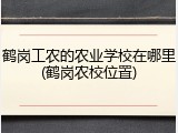 鹤岗工农的农业学校在哪里(鹤岗农校位置)