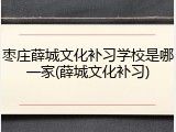 枣庄薛城文化补习学校是哪一家(薛城文化补习)