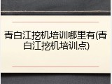 青白江挖机培训哪里有(青白江挖机培训点)
