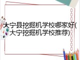 大宁县挖掘机学校哪家好(大宁挖掘机学校推荐)