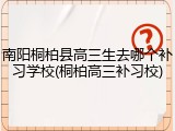 南阳桐柏县高三生去哪个补习学校(桐柏高三补习校)