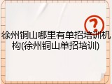 徐州铜山哪里有单招培训机构(徐州铜山单招培训)