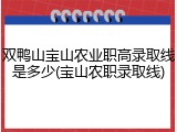 双鸭山宝山农业职高录取线是多少(宝山农职录取线)