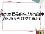 衡水枣强县数控技能培训中职班(枣强数控中职班)