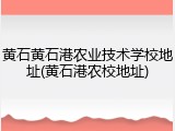 黄石黄石港农业技术学校地址(黄石港农校地址)