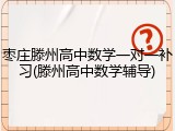 枣庄滕州高中数学一对一补习(滕州高中数学辅导)