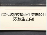 沙坪坝农校毕业生去向如何(农校生去向)