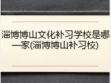 淄博博山文化补习学校是哪一家(淄博博山补习校)