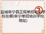 盐城阜宁县正规单招培训学校在哪(阜宁单招培训学校地址)