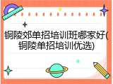 铜陵郊单招培训班哪家好(铜陵单招培训优选)