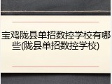 宝鸡陇县单招数控学校有哪些(陇县单招数控学校)