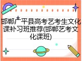 邯郸广平县高考艺考生文化课补习班推荐(邯郸艺考文化课班)