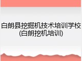 白朗县挖掘机技术培训学校(白朗挖机培训)