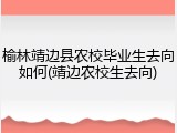 榆林靖边县农校毕业生去向如何(靖边农校生去向)
