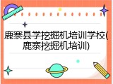 鹿寨县学挖掘机培训学校(鹿寨挖掘机培训)