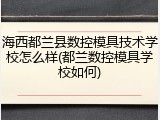 海西都兰县数控模具技术学校怎么样(都兰数控模具学校如何)