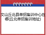 文山丘北县单招集训中心在哪(丘北单招集训地址)