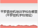 平罗县挖机培训学校在哪里(平罗挖机学校地址)