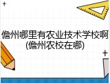 儋州哪里有农业技术学校啊(儋州农校在哪)