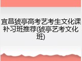 宜昌猇亭高考艺考生文化课补习班推荐(猇亭艺考文化班)