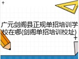 广元剑阁县正规单招培训学校在哪(剑阁单招培训校址)