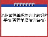 沧州黄骅单招培训比较好的学校(黄骅单招培训名校)